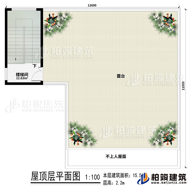 房頂：樓梯間、露台